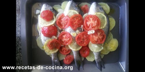 Recetas de Pescados y Mariscos